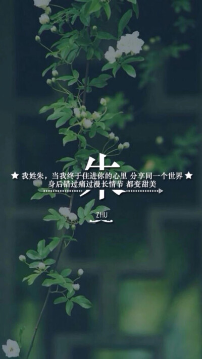 姓氏壁纸 朱