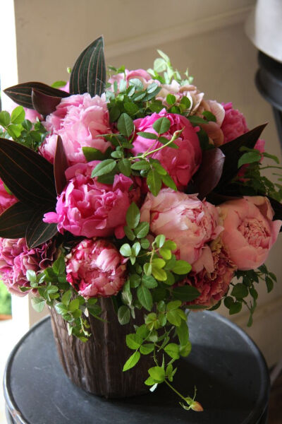 Peonies with ludisia and small roses