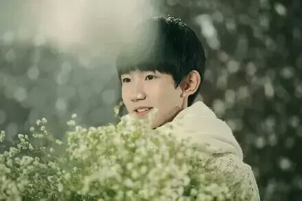 tfboys王源