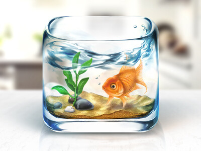 Fishbowl iOS Icon by Rosetta Icon Design