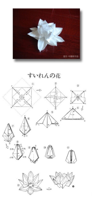 莲花折纸。手工。DIY。