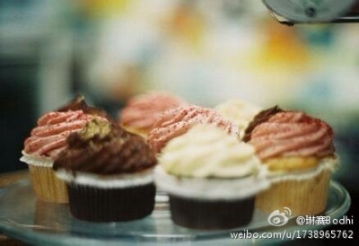 cupcake纸杯蛋糕