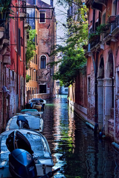 Shady Canal in Venice, Italy(by Trish Hartmann)。意大利威尼斯，並非单一座岛屿，而是由一百六十条运河分割成一百一十八座小岛的群岛，跨越运河的桥超过四百座。威尼斯的动脉“大运河”(Grand Canal)两岸，尽是水…