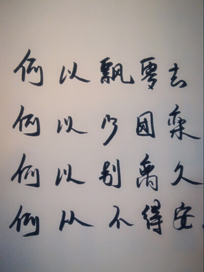 何以飘零去，何以少团栾，何以别离久，何以不得安。