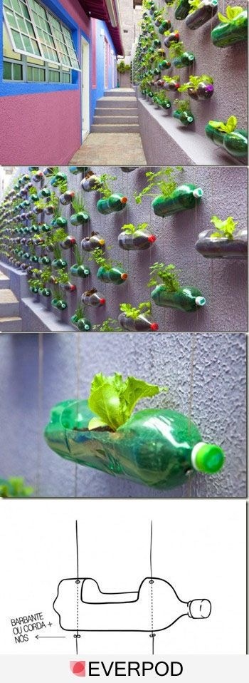 塑料瓶创意环保花盆~