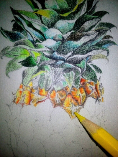 彩铅 手绘 写实 逼真 水果