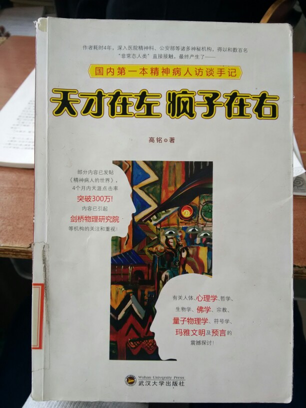 高铭――《天才在左 疯子在右》看完后觉得那些所谓的疯子都比那些所谓的天才还要天才