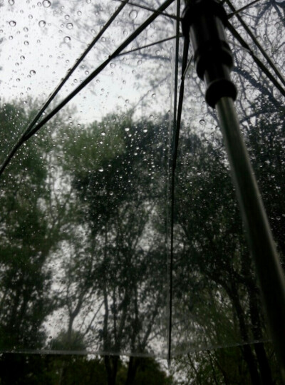 透明的雨伞会下雨