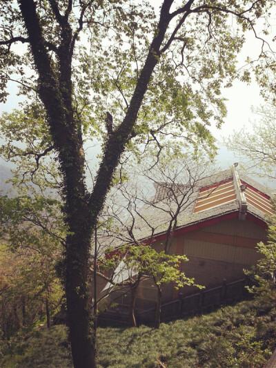 北高峰，爬了好久才到山顶，山不是很高，虽没有一览众山小的姿态，但是雾气笼罩下的群山也别有味道，走下山看到人群车辆，竟然有种恍如隔世的感觉……