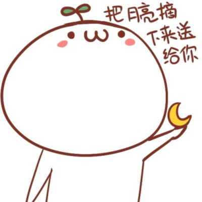 时间没有等我，是你忘了带我走，我左手过目不忘的的萤火，右手里是十年一个漫长的打坐。