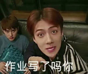 EXO  吴世勋 豪华表情包