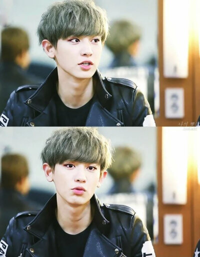 EXO 朴灿烈