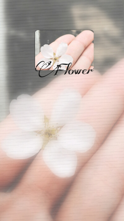 高清，原创，花，文字