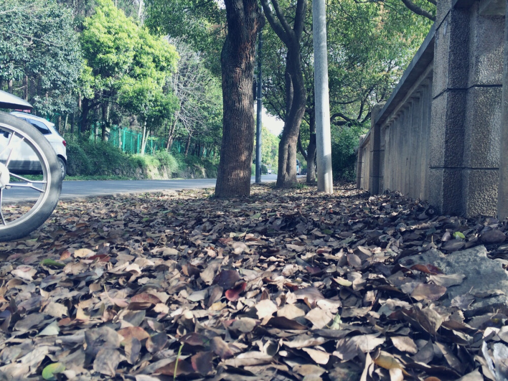 庞小p 湖北文理学院