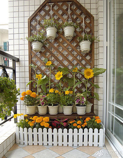 一组美腻的阳台—完美的空间利用，生机勃勃的向日葵，你有没有想养几盆的冲动？