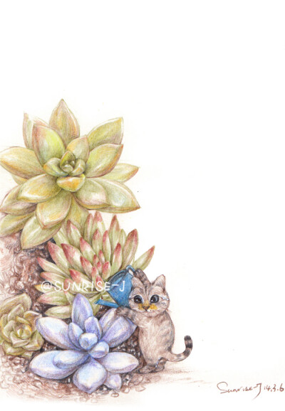 一只猫和多肉的故事