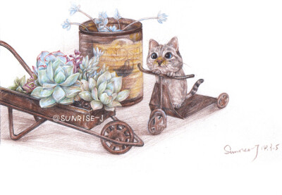 一只猫和多肉的故事