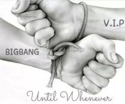 BIGBANG IS VIP