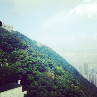  [ 我会在哪遇见你·香港 ] 太平山顶 /欣勾勾