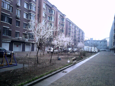 我与你相爱在桃花盛开的时节