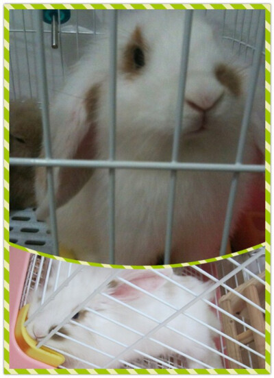 一下子你就长大了～