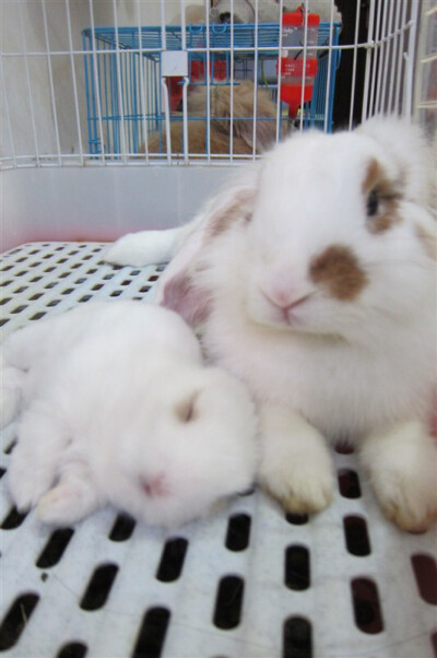 大女儿每次睡相都不好！