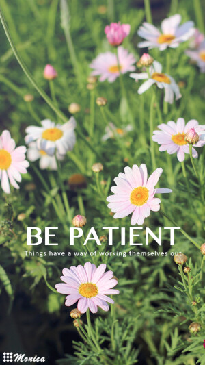 壁纸 桌面 文艺 雏菊（所有壁纸均为Monica原创摄影作品制作，禁止用于商业用途，禁止二次修改，禁止涂抹签名LOGO。如需转载，请务必注明作者【花花大官人Monica】，否则将发起维权。谢谢朋友们的支持）