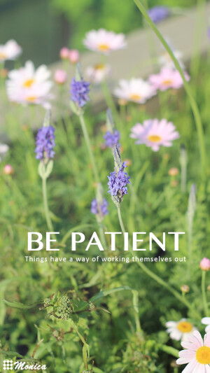 壁纸 桌面 文艺 雏菊 薰衣草（所有壁纸均为Monica原创摄影作品制作，禁止用于商业用途，禁止二次修改，禁止涂抹签名LOGO。如需转载，请务必注明作者【花花大官人Monica】，否则将发起维权。谢谢朋友们的支持）