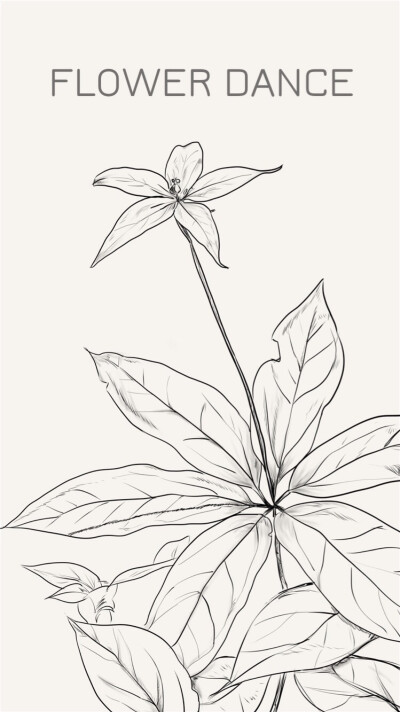 今天新画的~七叶一枝花Paris polyphylla.为百合科重楼属的植物。
