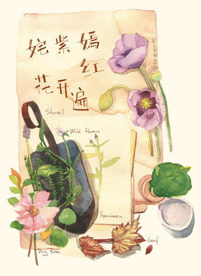 花绘 插画 手绘 小清新 色铅笔 水彩 植物 栽培