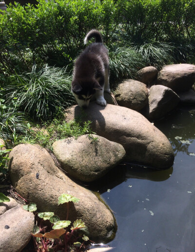 常在河边走 哪能不掉沟