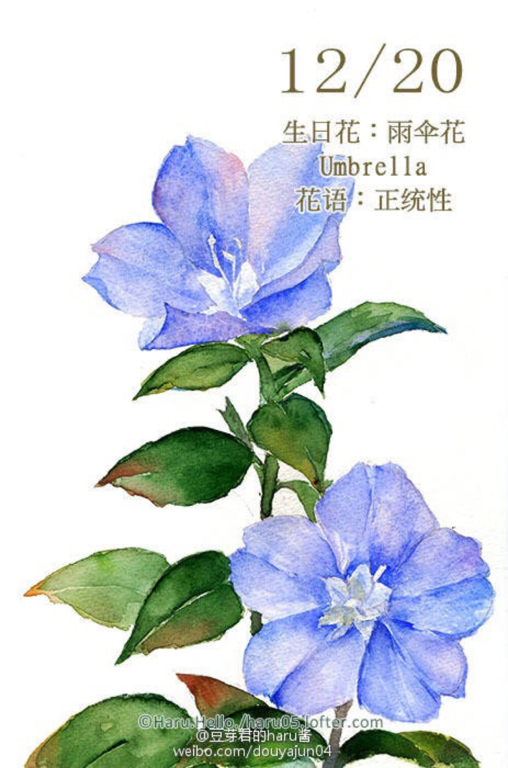 关注2015年4月13日 17:33幺幺累了