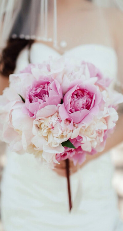 Hand bouquet flowers