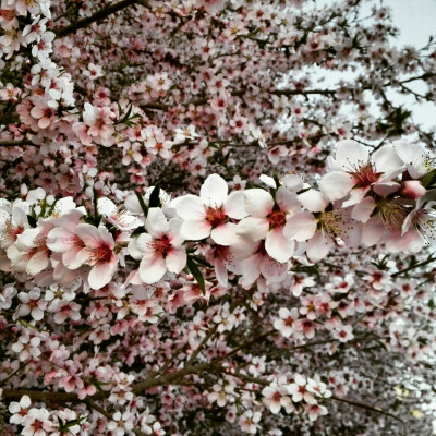 花开一日红一日，人活一日是一天