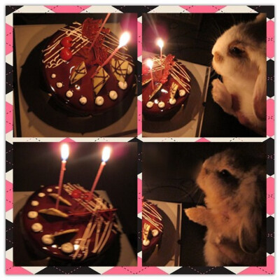 完全只能看着蛋糕，还是巧克力口味的！（麻麻说我们只是来充镜头的！）