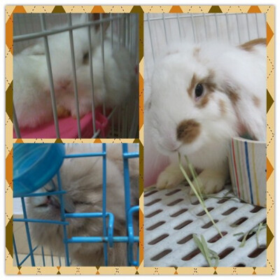 拉姐和她的大女儿！