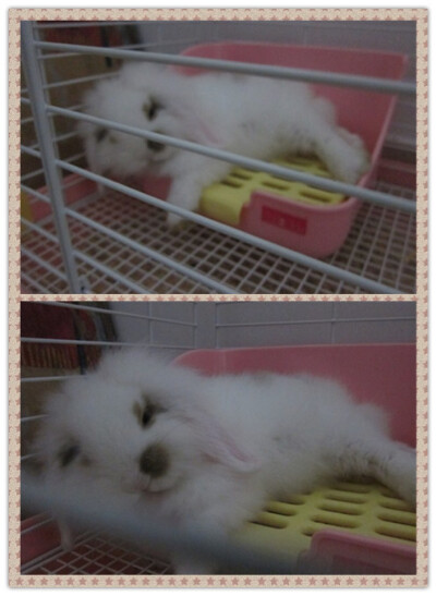 我们家拉姐小时候～