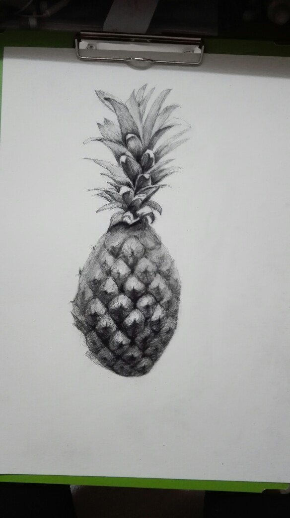 一个菠萝素描