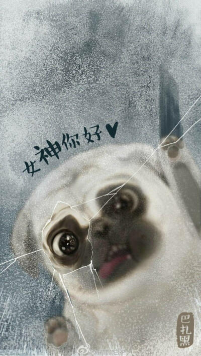 【吾皇万岁】桌面壁纸