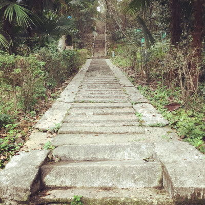 高中校园植物园中路