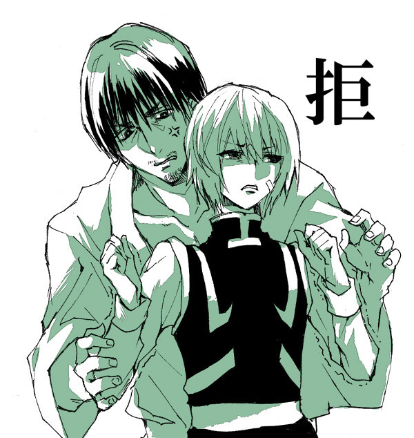 来自p站【侵删】，全职猎人