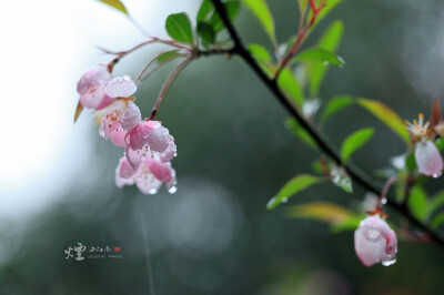 烟雨江南