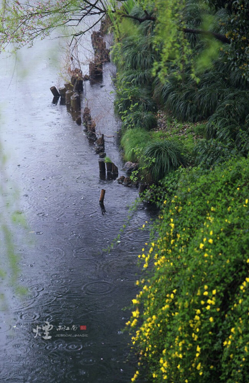 烟雨江南