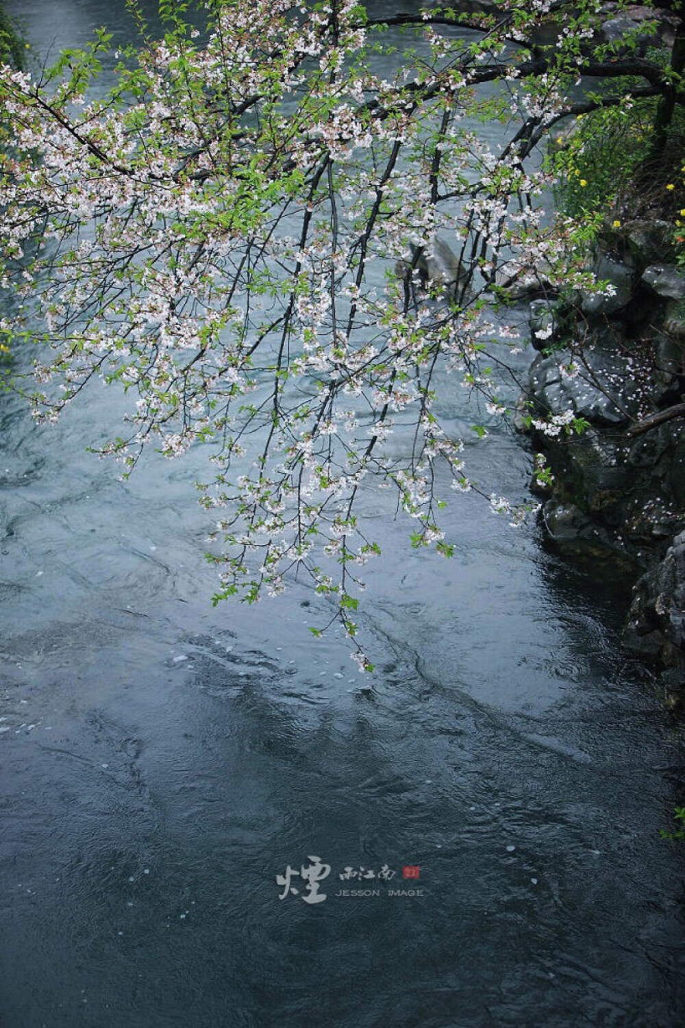 烟雨江南