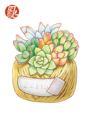 植物速写