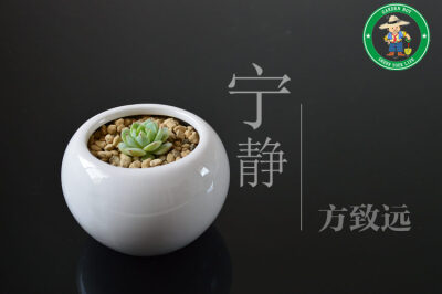 小静夜 多肉 萌萌哒！http://gardenboy.taobao.com