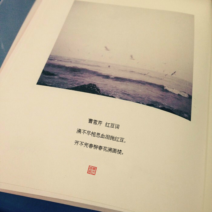 【古今诗句系列】曹雪芹 红豆词 滴不尽相思血泪抛红豆，开不完春柳春花满画楼。（个人制图）