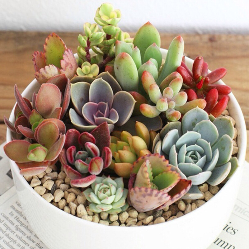http://item.taobao.com/item.htm?id=44528672085