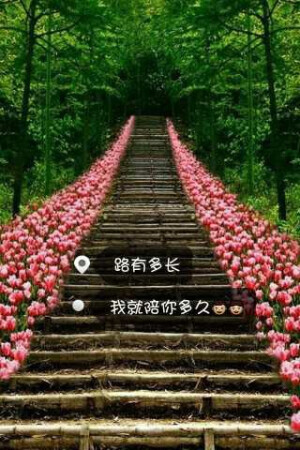 只是梦-