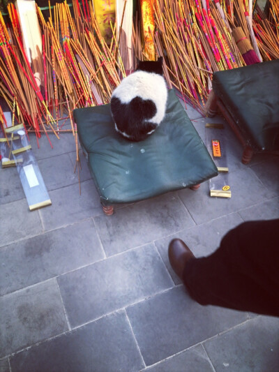 酒肉穿肠过，佛祖心中留。